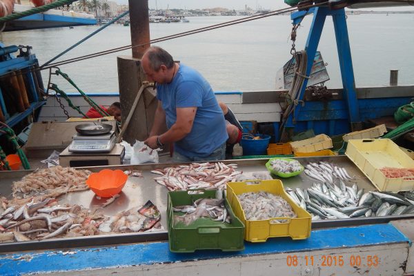 Molfetta, Italy