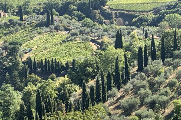 Tuscany view